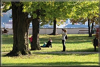 Grebovka 2013